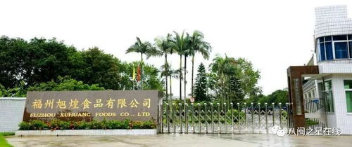 金獎(jiǎng)企業(yè)旭煌食品 巧用科技助力，讓魚丸的國際旅程更遠(yuǎn)